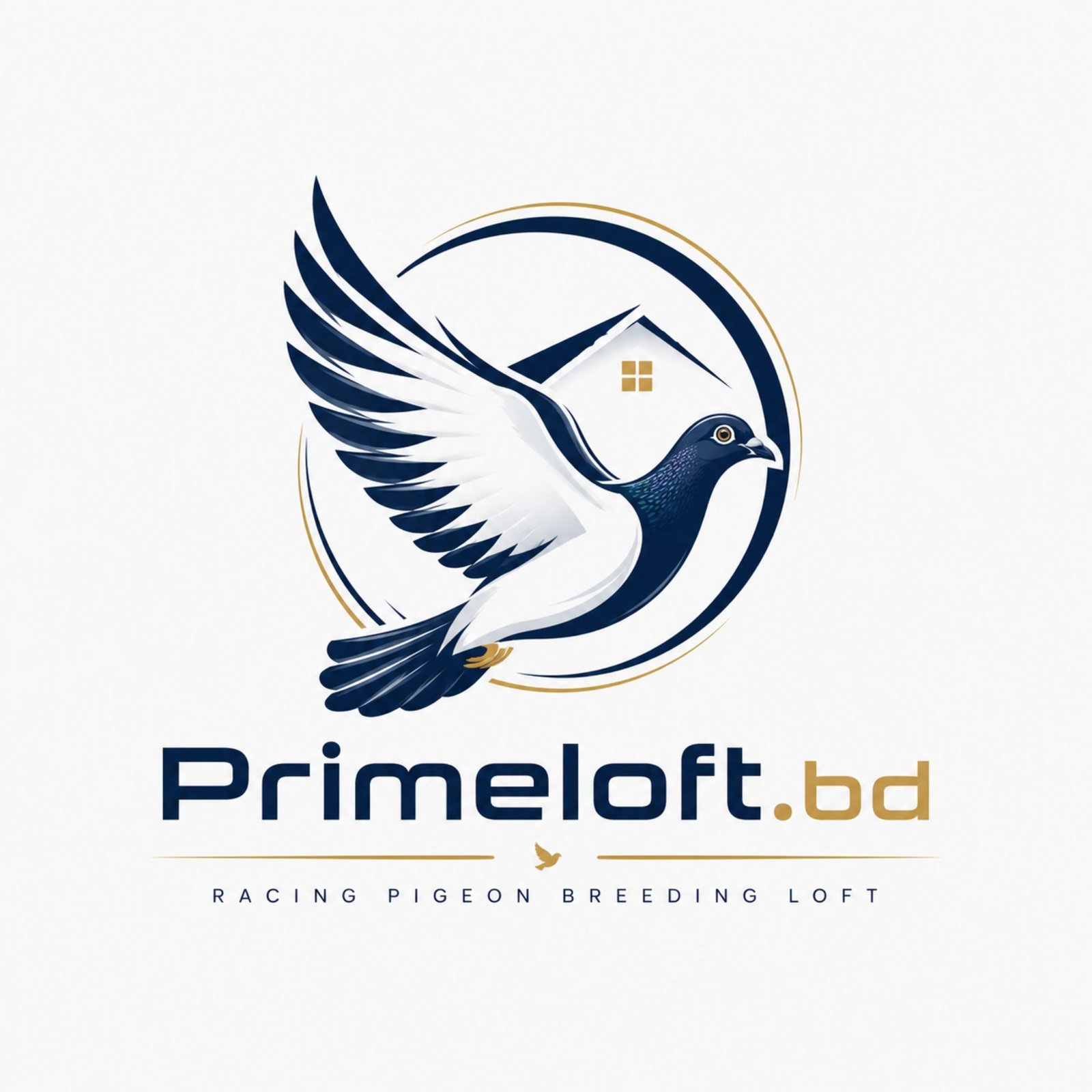 Prime Loft BD